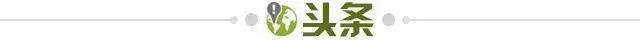 定制数据分析预测-【早报】男人四十